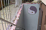 Bildergalerie_Haus-Balkon-Garten_10.jpg
